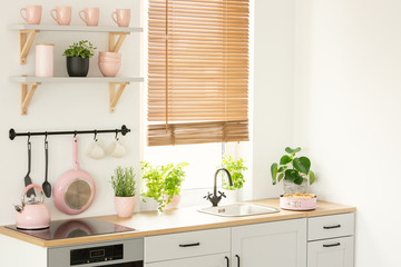 Kitchen tools and accessories, plants, window blades and shelves on the wall in the modern kitchen...