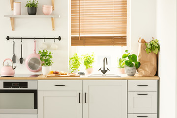 Real photo of a kitchen cupboards, countertop with plants, food, and shopping bag, and window with...