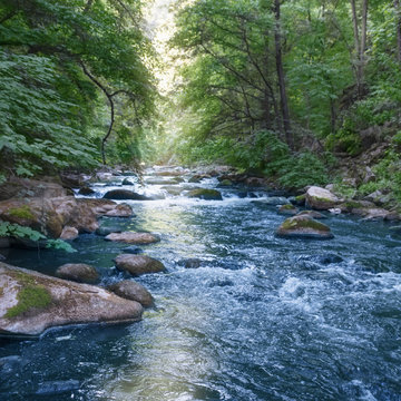 current of a fast mountain river with blue water along a picturesque green shore with reflections of sunlight.