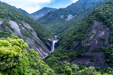 自然豊かな日本