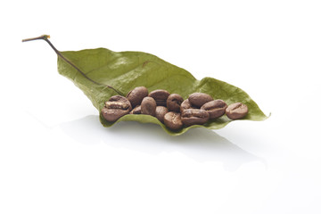 Coffee beans with coffee leaves