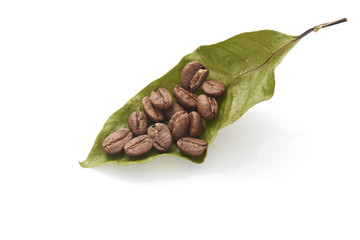 Coffee beans with coffee leaves