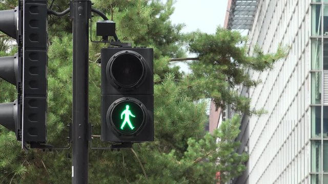 UK Pedestrian Traffic light in City