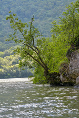  Romania Danube river landscape