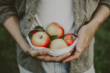 Man showing harvest fresh apples from garden