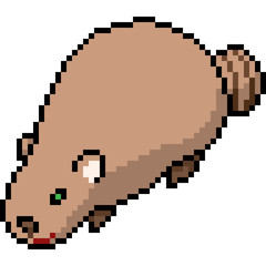 vector pixel art fat raccoon