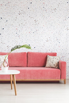 Leaf on white wooden table in front of pink sofa with pillow in patterned flat interior. Real photo