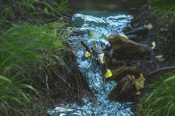 water of a beautiful mountain stream rolls over the threshold along the beautiful picturesque shore.