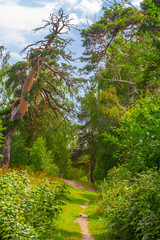 Городецкий вал