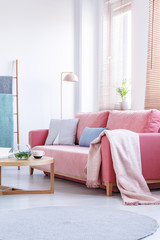 Blanket on pink sofa with pillows in bright living room interior with table and lamp. Real photo