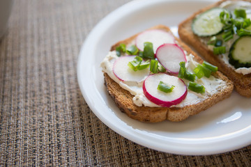 Fresh vegetarian sandwiches with cheese, radish, cucumber and green onions