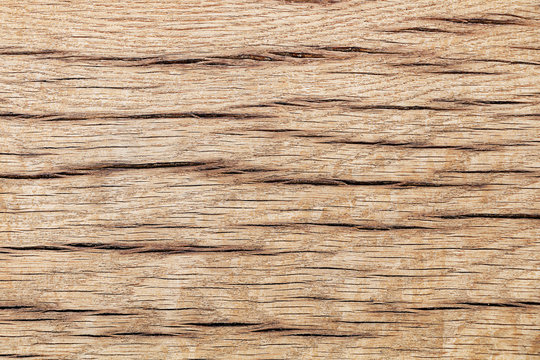 Texture of wood