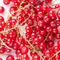 Summer creative concept: scattered cluster on white concrete background. Square photo.