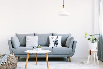 Simple interior of a bright living room with white pillows on a gray sofa next to a stool with a...
