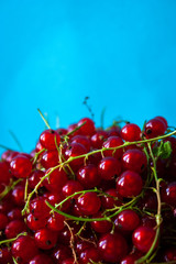 Red currant berries on a blue background.