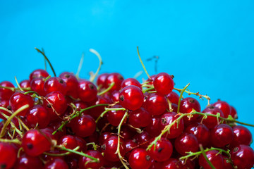 Red currant berries on a blue background.