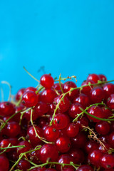 Red currant berries on a blue background.