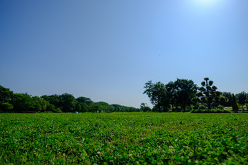 公園と空