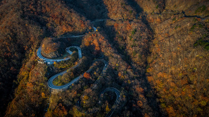 Nikko 's winding road in autumn, Japan