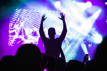 rear view of crowd watching and dancing at a live concert