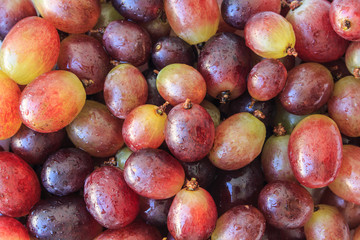 red grapes on white background