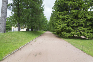 Tsarskoye Selo Pushkin, St. Petersburg, alley in the Park, trees and shrubs, walking paths.