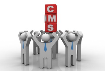 3d rendering cms cubes with business network