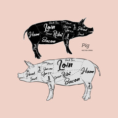 scheme and guide - Pork. Vintage typographic hand-drawn. Vector illustration