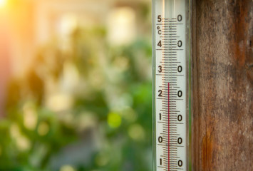 Thermometer in the greenhouse