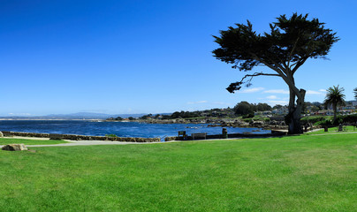 Monterey Bay, Panorama, California, Usa - 213613489