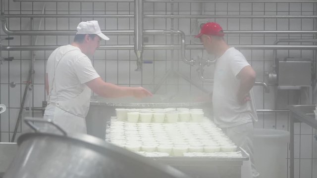 4K genuine mozzarella production process