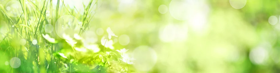 Selbstklebende Fototapete Sommer Wiesenlandschaft im Sommer