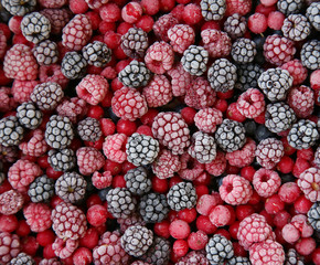 closeup of frozen berries 