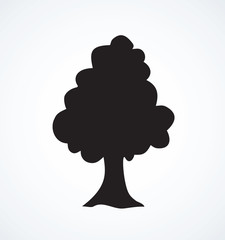 Big tree.Vector sketch