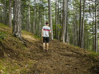 Fototapeta premium young man in casual walking in the forest lonely alone during summer season
