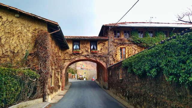 old house covered by plants