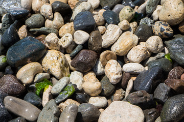 The surface of the pebble on the beach. Little rock texture.