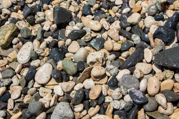 The surface of the pebble on the beach. Little rock texture.