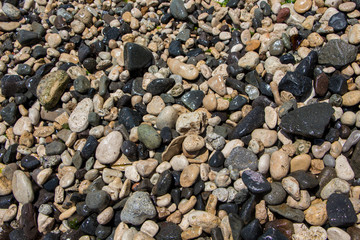 The surface of the pebble on the beach. Little rock texture.