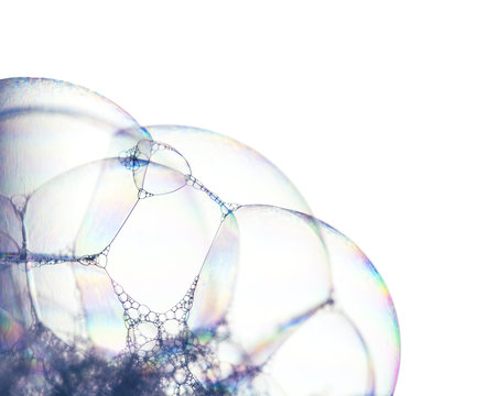 Soap Bubbles Isolated On White Background