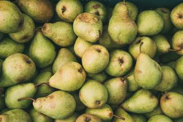 Green Ripe Pears At A Farmers Market. Fruits Background