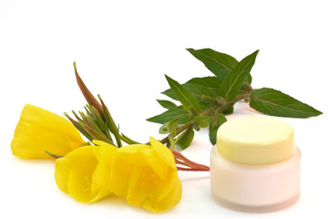 evening primrose creme