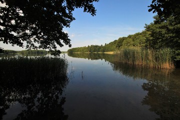 Fototapeta premium Stiller Morgen am Wangnitzsee in Mecklenburg