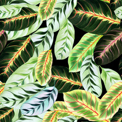 Exotic leaves - Morant. Watercolor background image - decorative composition. Use printed materials, signs, items, websites, maps, posters, postcards, packaging.Seamless pattern.