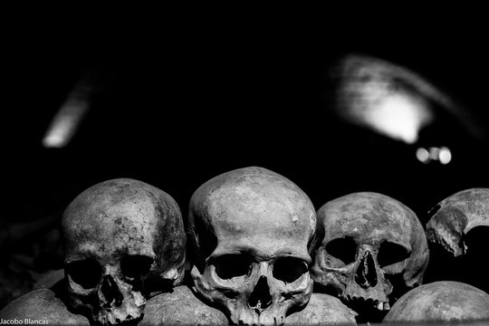 Fondo calaveras