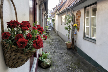 Fototapeta na wymiar Hinterhofromantik in Lübeck: Ganghäuser