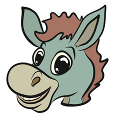 Head of a funny laughing donkey, cute animals