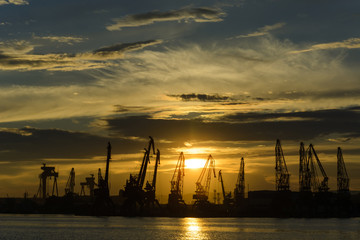 Obraz premium Cranes silhouette in the Varna Harbor at sunset.