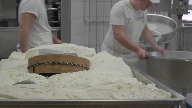 4K genuine mozzarella production process