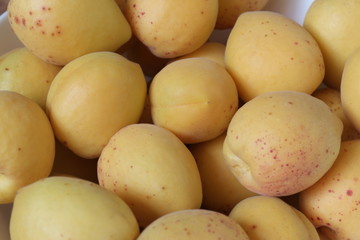 fresh apricots